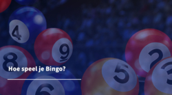 Hoe speel je bingo?