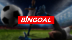 Bingoal Nederland review